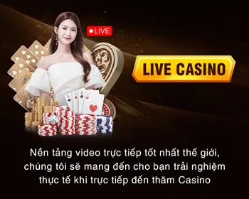 Tổng quan các điều khoản dịch vụ của n66 chính thức