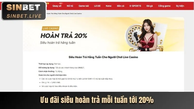 Trải nghiệm sòng bạc trực tiếp với dealer chuyên nghiệp tại n66